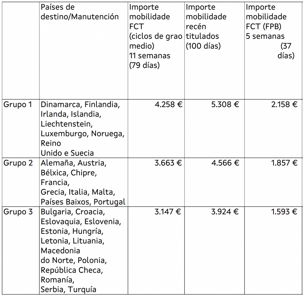 importe axudas ciclo medio